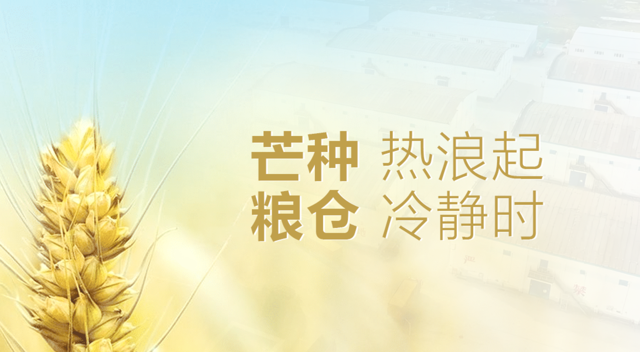 芒種熱浪起，糧倉“冷靜”時：凈松糧倉空調(diào)守護(hù)糧倉安全
